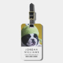Search for pet travel accessories Cute animals