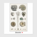 Search for angel craft supplies Vintage