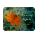 Search for infinite magnets Inspirational