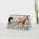 Search for yearling Photography