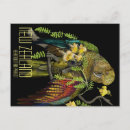 Search for new zealand bird postcards Wildlife