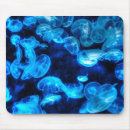 Search for marine mouse mats Ocean life