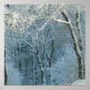 Search for winter scene posters Forest