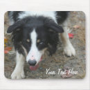 Search for herd electronics Cute