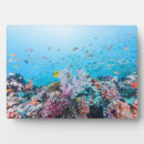 Search for boat plaques Coast