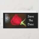 Search for love 4x9 invitations Groom