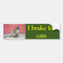 Search for cat joke bumper stickers Humor