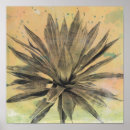 Search for cactus plant posters Botanical