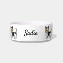 Search for yorkie dog bowls Yorkshire terrier