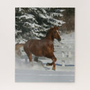 Search for horses and snow puzzles Bob langrish