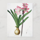 Search for belladonna postcards Botanical