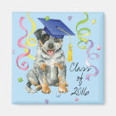 Search for acd square magnets Dog