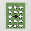 Search for flock of sheep postcards Ewe