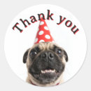 Search for birthday pug stickers Funny