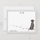 Search for labrador note cards Black labrador retriever