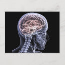 Search for brains postcards Skull