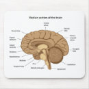 Search for human anatomy mouse mats Doctor