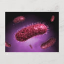 Search for bacteria postcards Abundance