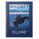 Search for orca notebooks Lantern