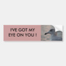 Search for seagull bumper stickers Animals