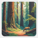 Search for redwood national park stickers Landscape
