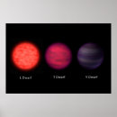 Search for dwarf posters Comparison