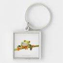 Search for tree frogs key rings Animals