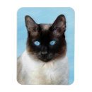 Search for siamese magnets Portrait