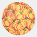 Search for thanksgiving pumpkins stickers Kids