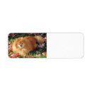 Search for pom pom return address labels Cute