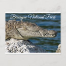 Search for biscayne bay Biscayne national park