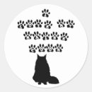 Search for maine coon cat stickers Feline