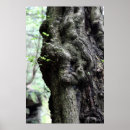 Search for tree face posters Leaves