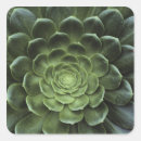 Search for complexity stickers Green