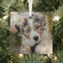 Search for young christmas tree decorations Cute baby animal