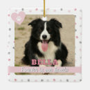 Search for rainbow bridge gifts Memorials keepsake