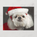 Search for embarrassment cards Pets