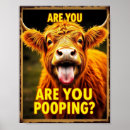 Search for funny cow posters Scottish