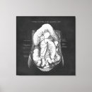 Search for anatomy canvas prints Digestive system