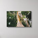Search for giraffe face art Nature