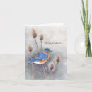 Search for bird sympathy cards Feathers