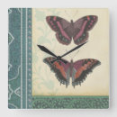 Search for studio clocks Insects