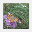 Search for corner magnets Nature