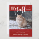 Search for funny cat image cards Red