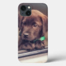Search for labrador cases Puppy