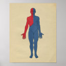 Search for duct posters Anatomy