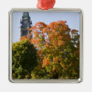 Search for ottawa christmas tree decorations Kristin piljay