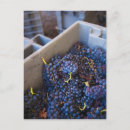 Search for bodega postcards Autumn