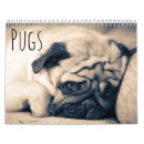 Search for pug calendars Pet