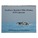 Search for orca photography Orcas